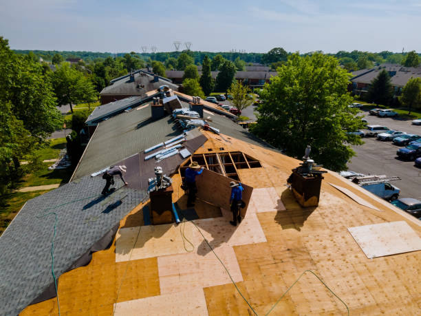 Roof Gutter Cleaning in West Liberty, OH