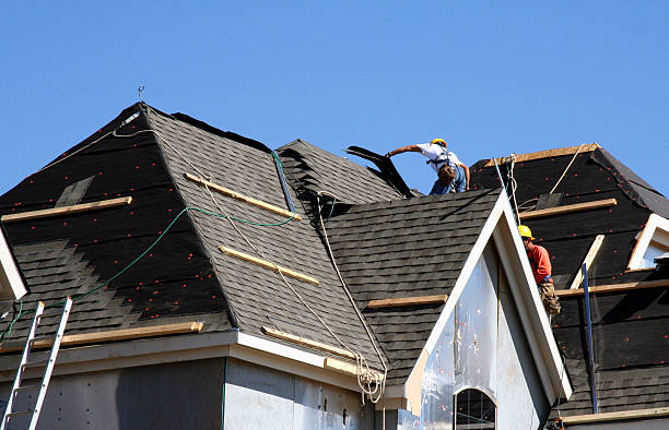Best Roof Repair Services  in West Liberty, OH