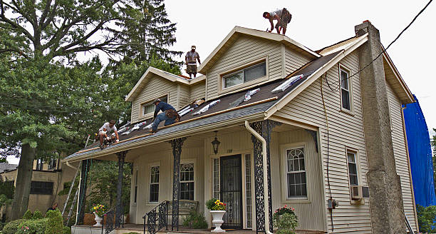 Best Metal Roofing Contractor  in West Liberty, OH